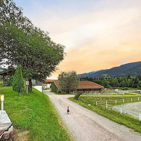 Edelweiss 5 By Interhome